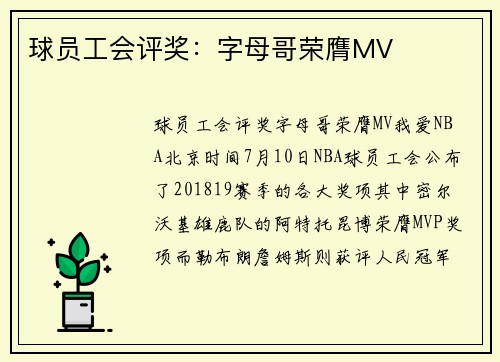 球员工会评奖：字母哥荣膺MV